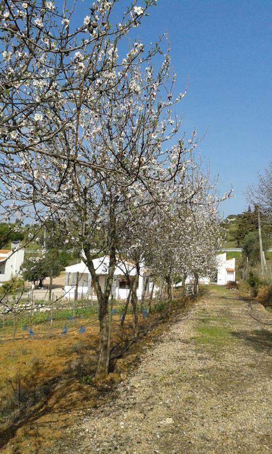 Holiday Home Monte Das Azinheiras Arraiolos Esterno foto